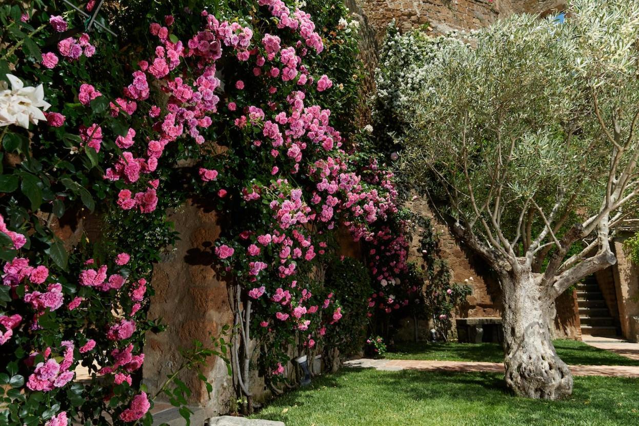 Appartamento Palazzo Storico Colesanti Bagnoregio Esterno foto